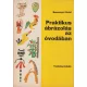 Bessenyei Antal - Praktikus ábrázolás az óvodában
