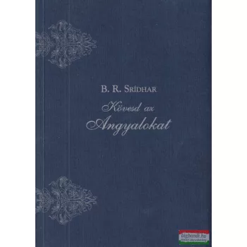 B. R. Srídhar - Kövesd ​az Angyalokat