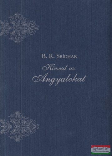 B. R. Srídhar - Kövesd ​az Angyalokat