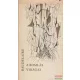 Charles Baudelaire - A Romlás virágai