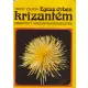 Paksy Zsuzsa - Egész évben krizantém