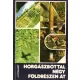 Jerzy Putrament - Horgászbottal ​négy földrészen át