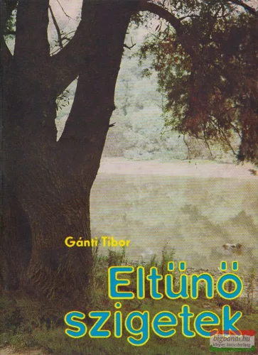 Gánti Tibor - Eltűnő szigetek