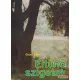 Gánti Tibor - Eltűnő szigetek