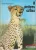 Joy Adamson- A pettyes szfinx