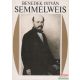 Benedek István - Semmelweis
