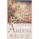 Kutasi Kovács Lajos - Amerika bölcsője
