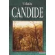 Voltaire - Candide vagy az optimizmus