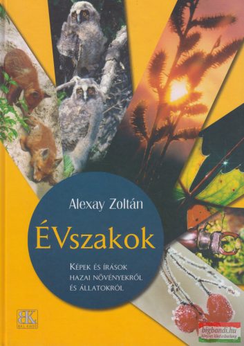 Alexay Zoltán - Évszakok