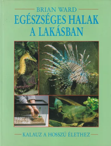 Brian Ward - Egészséges halak a lakásban