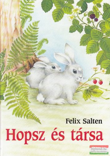 Felix Salten - Hopsz és társa