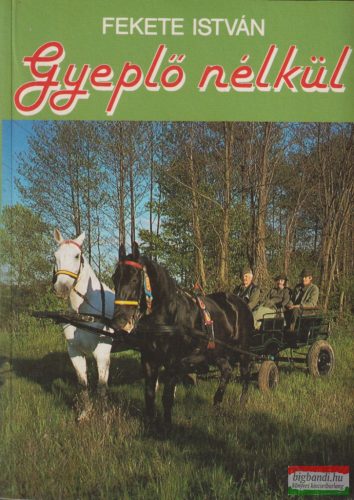 Fekete István - Gyeplő nélkül