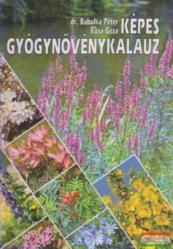 Dr. Babulka Péter, Kósa Géza - Képes gyógynövénykalauz