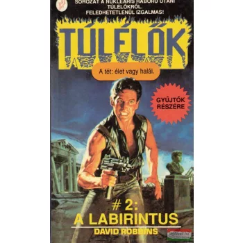 David Robbins - A labirintus