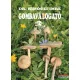 Dr. Rimóczi Imre - Gombaválogató 2