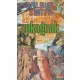 Wilbur Smith - Az angyalok zokognak