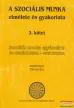 Hegyesi G., Talyigás K., Tánczos É., Gosztonyi G., Kozma J., Szilvási L. szerk. - A szociális munka elmélete és gyakorlata 1-4.