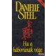 Danielle Steel - Ha a háborúnak vége