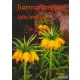 Mérő Éva szerk. - Harmatfényben - lelki utakon