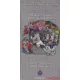 Magyar-angol labdarúgó szakszótár / English-Hungarian Football Dictionary 