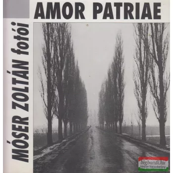 Tornai József - Amor patriae