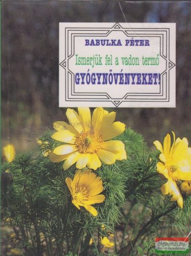 Babulka Péter - Ismerjük fel a vadon termő gyógynövényeket!