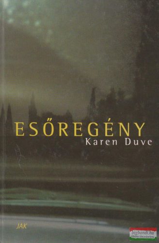 Karen Duve - Esőregény