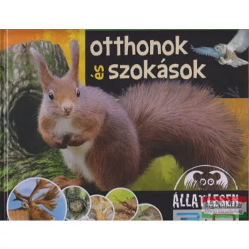 Bagoly Ilona - Otthonok és szokások