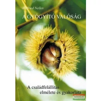 Wilfried Nelles - A gyógyító valóság