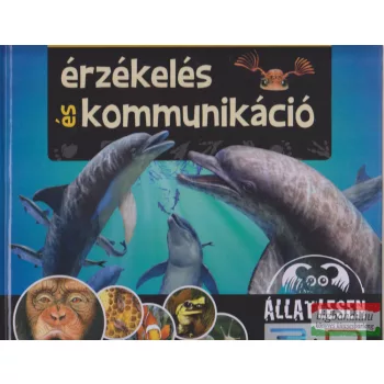 Bagoly Ilona - Érzékelés és kommunikáció