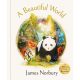 James Norbury - A Beautiful World