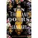 Alix E. Harrow - The Ten Thousand Doors of January