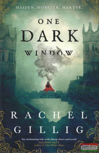 Rachel Gillig - One Dark Window
