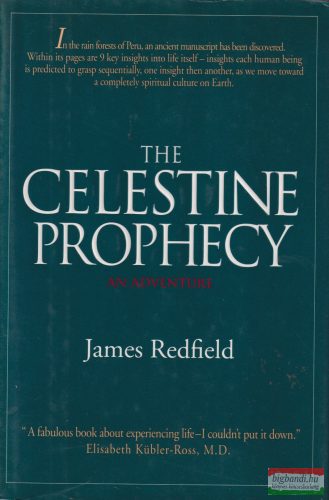 James Redfield - The ​Celestine Prophecy / An Adventure