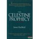 James Redfield - The ​Celestine Prophecy / An Adventure