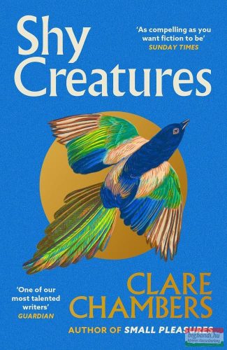 Clare Chambers - Shy Creatures