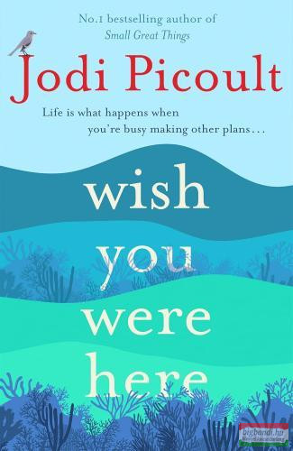 Jodi Picoult - Wish You Were Here