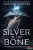 Alexandra Bracken - Silver in the Bone