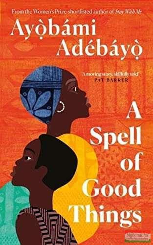 Ayobami Adebayo - A Spell of Good Things