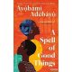 Ayobami Adebayo - A Spell of Good Things