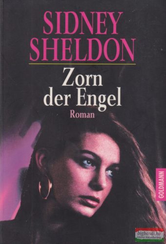 Sidney Sheldon - Zorn der Engel