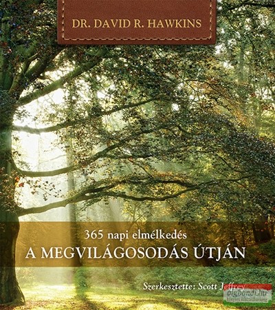 Dr. David R. Hawkins - A megvilágosodás útján