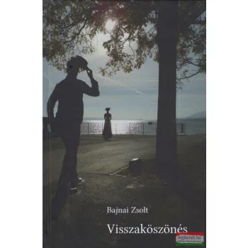 Bajnai Zsolt - Visszaköszönés