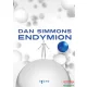 Dan Simmons - Endymion
