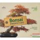 Annegret Rüger - Bonsai mindentudó 