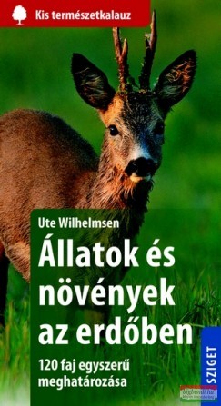 Ute Wilhelmsen - Állatok és növények az erdőben