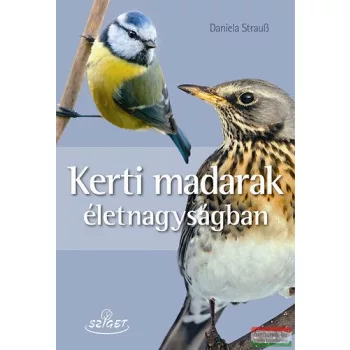 Daniela Strauss - Kerti madarak életnagyságban 