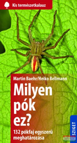 Heiko Bellmann, Martin Baehr - Milyen pók ez? - 132 pók egyszerű meghatározása