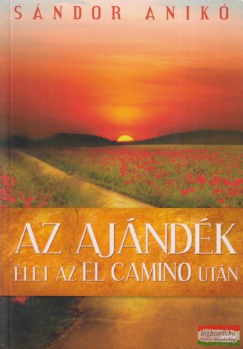 Sándor Anikó - Az ajándék