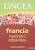 Francia nyelvtani áttekintés - Praktikus példákkal